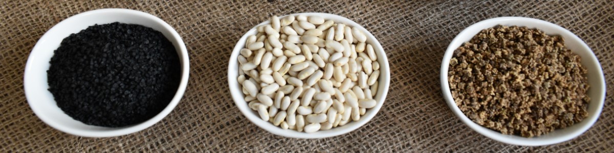 PLANTICO насенне раслін насенне гародніны насенне кветак