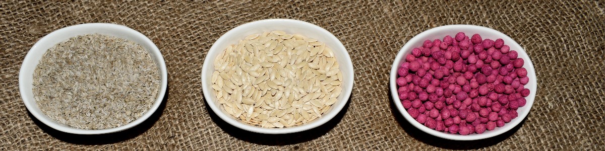 PLANTICO насенне раслін насенне гародніны насенне кветак