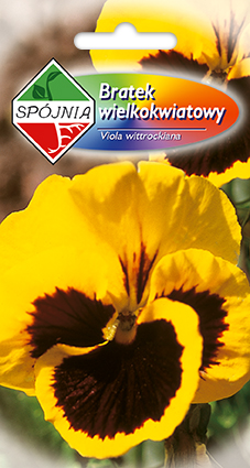 PLANTICO насенне раслін насенне гародніны насенне кветак