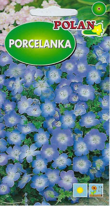 PLANTICO насенне раслін насенне гародніны насенне кветак