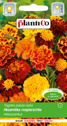 PLANTICO насенне раслін насенне гародніны насенне кветак