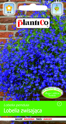 PLANTICO насенне раслін насенне гародніны насенне кветак