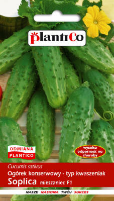 PLANTICO насенне раслін насенне гародніны насенне кветак