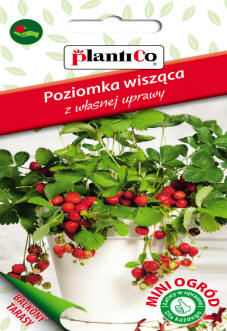 PLANTICO насенне раслін насенне гародніны насенне кветак