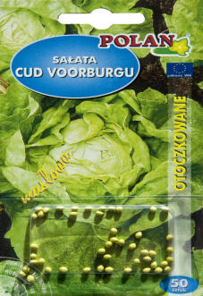 PLANTICO насенне раслін насенне гародніны насенне кветак